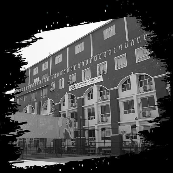 RAMAGYA INSTITUTE OF PROFESSIONAL STUDIES